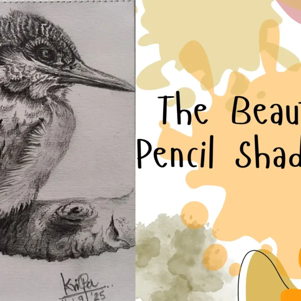 Pencil shading (1)